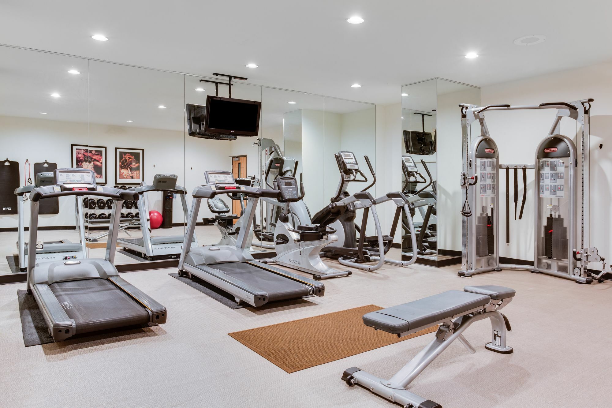 Staybridge East- Brandon By Ihg Mango