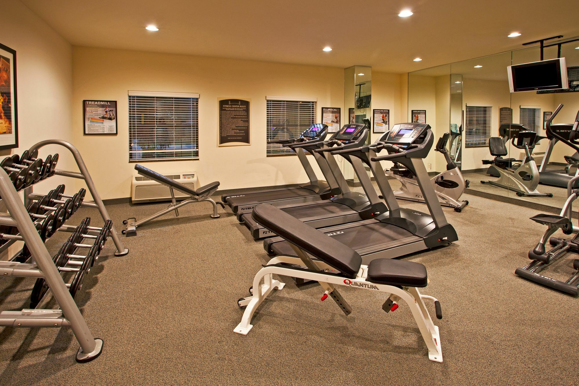 Staybridge East- Brandon By Ihg Hotel 3*